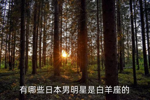 白羊座男明星，哪位男歌星是白羊座的