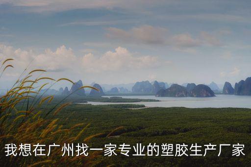 我想在廣州找一家專業的塑膠生產廠家