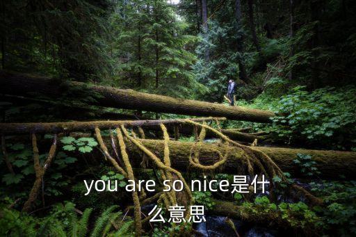 you are so nice是什么意思