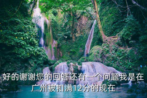 廣州交警大隊曾宇華，好的謝謝您的回答還有一個問題我是在廣州被扣滿12分的現在