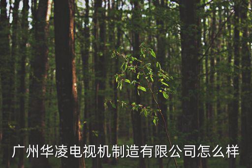 廣州華凌電視機制造有限公司怎么樣
