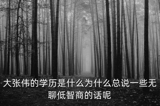 上海市副市長張偉學歷，現在上海副市長是誰