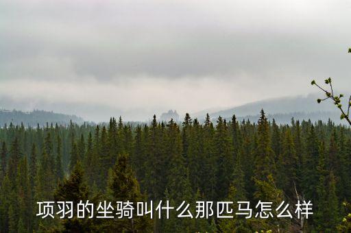 項羽坐騎，西楚霸王項羽的坐騎叫什么