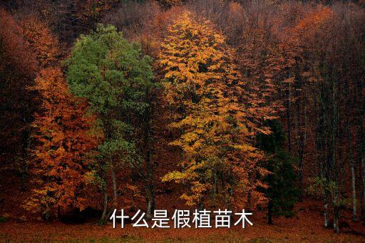 假植，求高手掃盲什么是假植