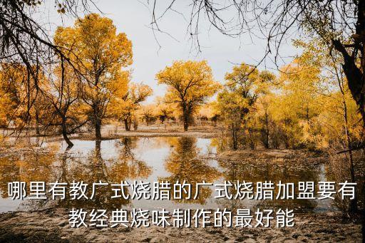 廣州西華燒臘加盟，哪里有教廣式燒臘的廣式燒臘加盟要有教經典燒味制作的最好能