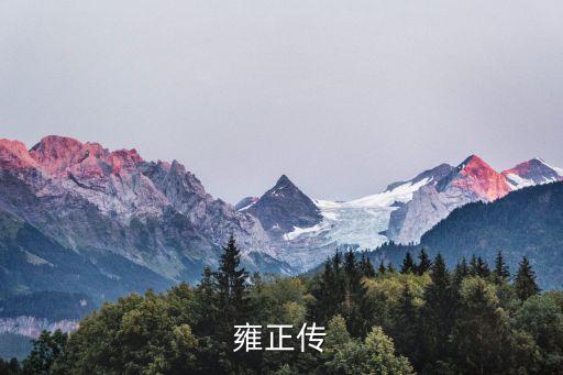 雍正傳，提供一下雍正傳的原文
