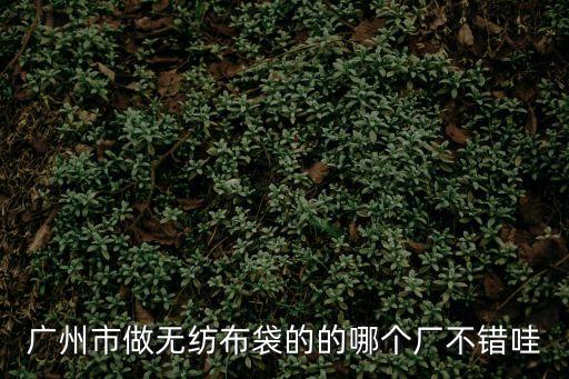 廣州無紡布制品企業，廣州新輝聯無紡布有限公司怎樣