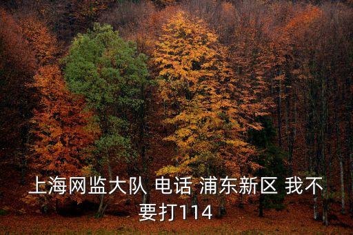上海網監大隊 電話 浦東新區 我不要打114