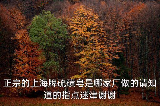 正宗的上海牌硫磺皂是哪家廠做的請知道的指點迷津謝謝