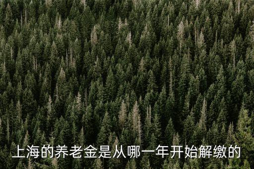 上海的養老金是從哪一年開始解繳的