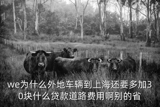 we為什么外地車輛到上海還要多加30塊什么貸款道路費用啊別的省