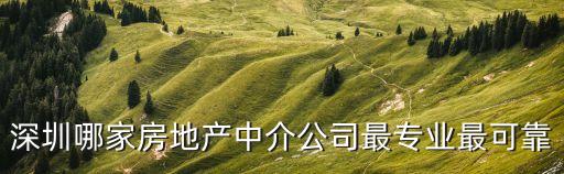 廣州新臣房地產經紀有限公司深圳分公司，深圳房地產中介公司有哪些
