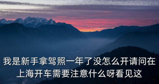 我是新手拿駕照一年了沒怎么開請問在上海開車需要注意什么呀看見這