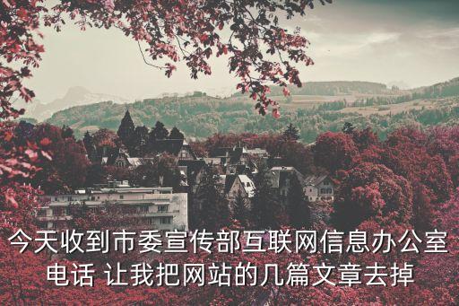 今天收到市委宣傳部互聯網信息辦公室電話 讓我把網站的幾篇文章去掉