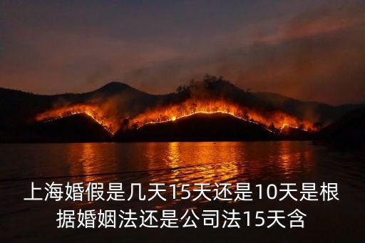 上?；榧偈菐滋?5天還是10天是根據(jù)婚姻法還是公司法15天含