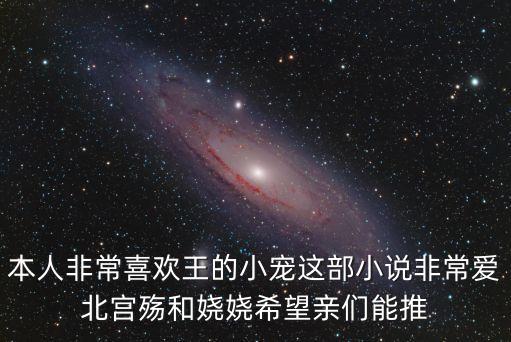 王的小寵，本人非常喜歡王的小寵這部小說非常愛北宮殤和嬈嬈希望親們能推