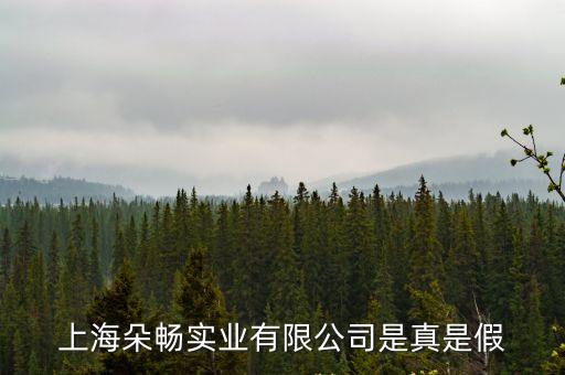 上海市暢華實業怎么樣，上海朵暢實業有限公司是真是假