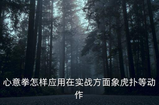 心意拳怎樣應(yīng)用在實戰(zhàn)方面象虎撲等動作