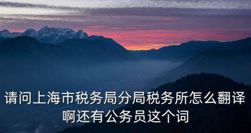 上海市稅務官，上海稅務查詢
