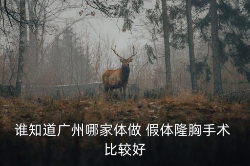 廣州哪個醫(yī)院做假體隆胸好，想在廣州做個假體隆胸不知道哪家醫(yī)院好