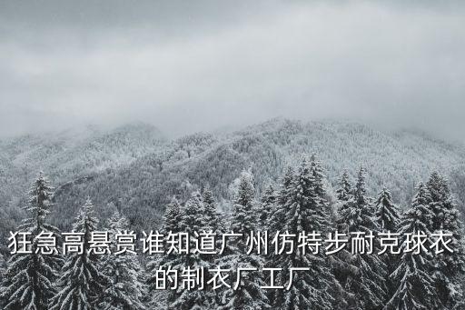 狂急高懸賞誰知道廣州仿特步耐克球衣的制衣廠工廠