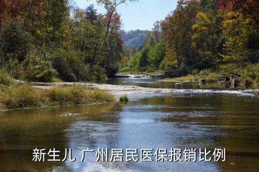 新生兒 廣州居民醫保報銷比例
