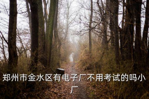上海市金水區(qū)電子廠失火，你好想咨詢您上海航天電子有限公司的事