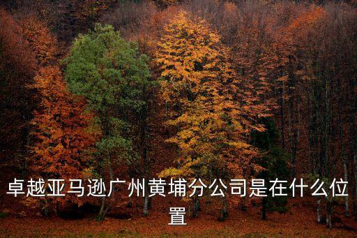 卓越亞馬遜廣州黃埔分公司是在什么位置
