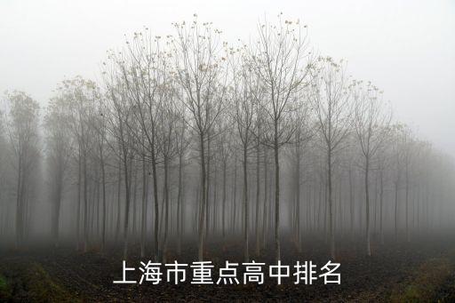 上海市重點高中排名