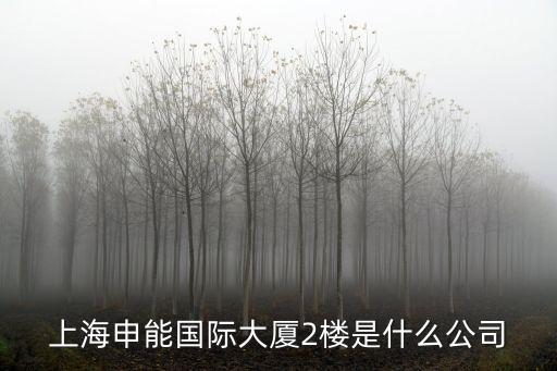 上海市宣和資產管理有限公司，上海申能國際大廈2樓是什么公司