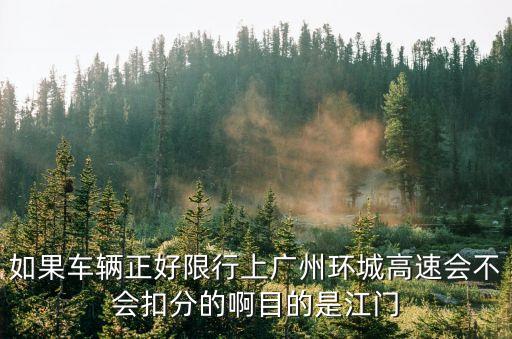 廣州收費站剛剛發生 瞬間十人圍毆，從廣州花都新華到鐘落潭高速收費站路口怎么做車