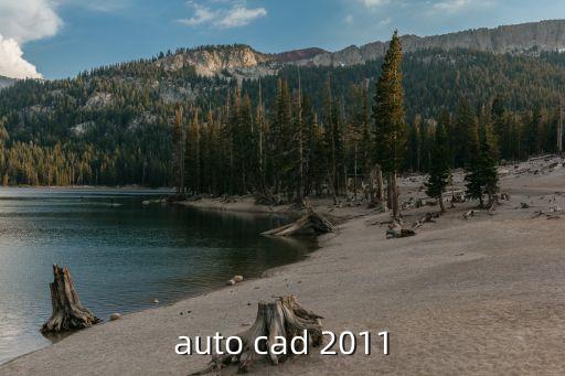 auto cad 2011
