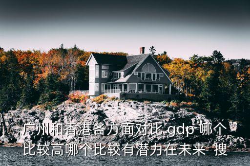 廣州和香港各方面對比 gdp 哪個比較高哪個比較有潛力在未來  搜