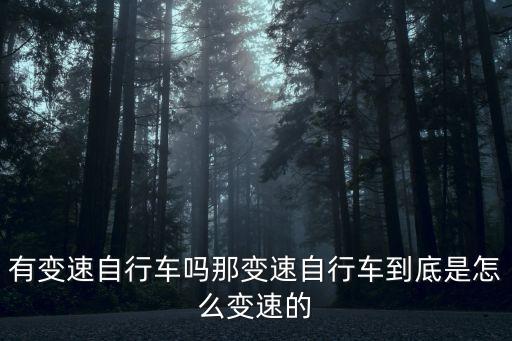 變速自行車，變速的自行車