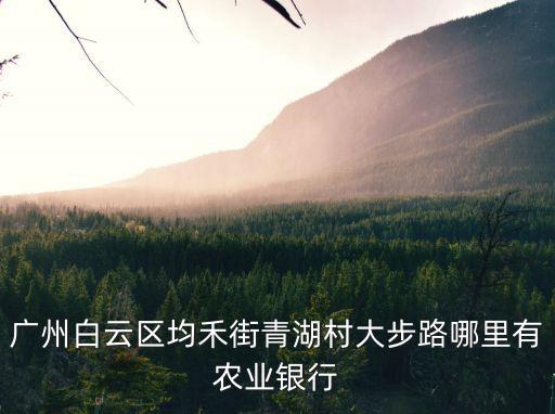 廣州白云區均禾街青湖村大步路哪里有農業銀行