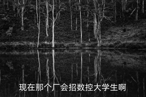 現在那個廠會招數控大學生啊