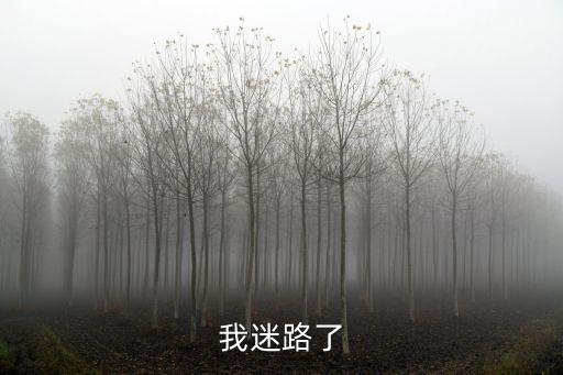 我迷路了