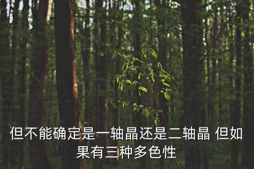 但不能確定是一軸晶還是二軸晶 但如果有三種多色性