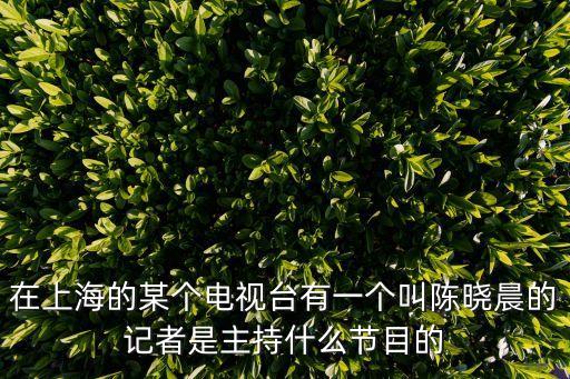 在上海的某個(gè)電視臺(tái)有一個(gè)叫陳曉晨的記者是主持什么節(jié)目的