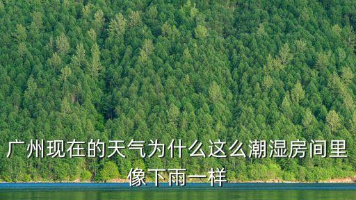 廣州現在的天氣為什么這么潮濕房間里像下雨一樣