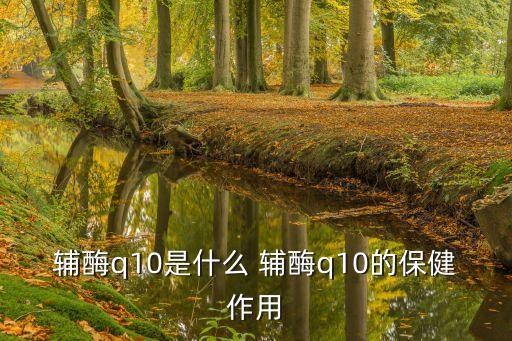 輔酶q10是什么 輔酶q10的保健作用