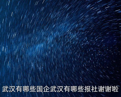 廣州六一信息科技有限公司武漢分公司，武漢市洪山珞瑜路158號華中數碼城12樓12078號是干什么的