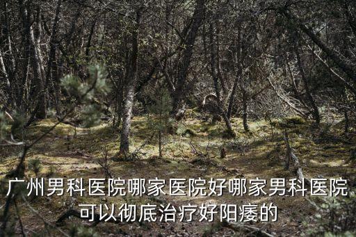廣州男科醫院哪家醫院好哪家男科醫院可以徹底治療好陽痿的