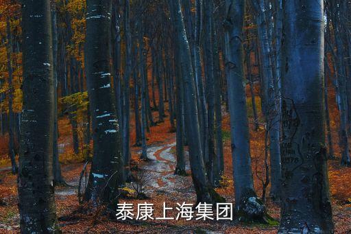 泰康上海集團(tuán)