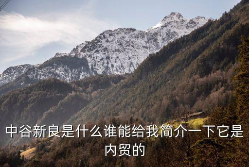 中谷新良是什么誰能給我簡介一下它是內貿的