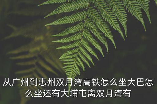 從廣州到惠州雙月灣高鐵怎么坐大巴怎么坐還有大埔屯離雙月灣有