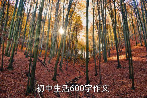 初中生活600字作文
