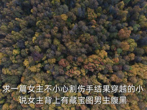 求一篇女主不小心割傷手結果穿越的小說女主背上有藏寶圖男主腹黑