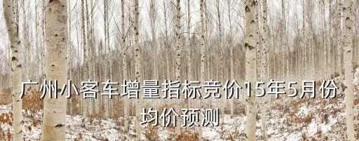 廣州小客車增量指標競價15年5月份均價預測