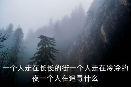 一個人走在長長的街一個人走在冷冷的夜一個人在追尋什么